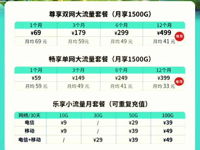 流量包功能费100元是什么截图