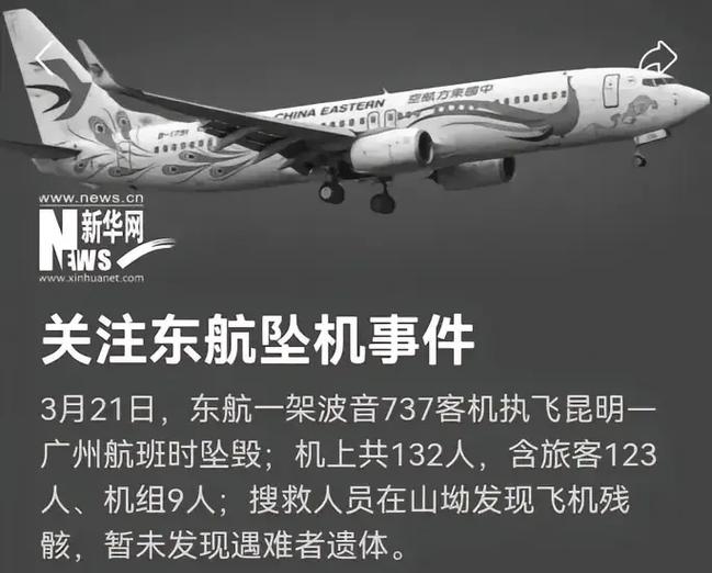 昆明至广州航班客机坠毁原因截图