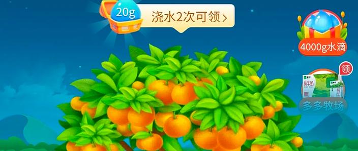 多多果园果子成熟了找不到了截图