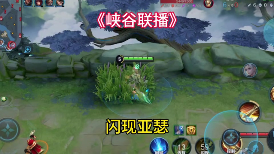 亚瑟设置里面设置技巧图标