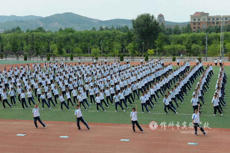 锦州市实验中学截图