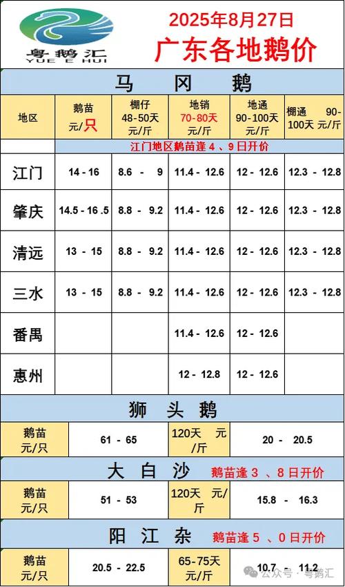 莆田大鹅多少钱一件