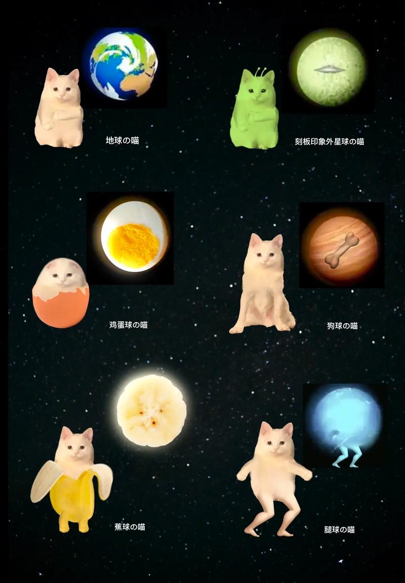 星际大喵饲养