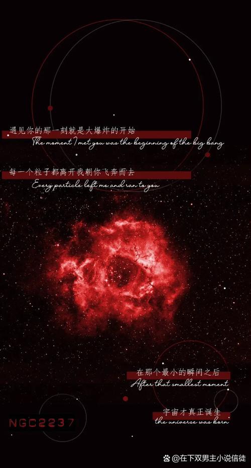 我只喜欢你的人设阅读体
