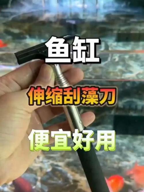 鱼缸里的鱼屎怎么处理最好图标