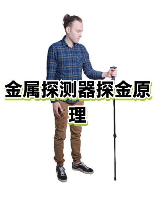 探金