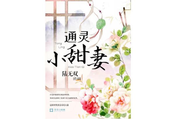 男主叫简易,陆无双的小说