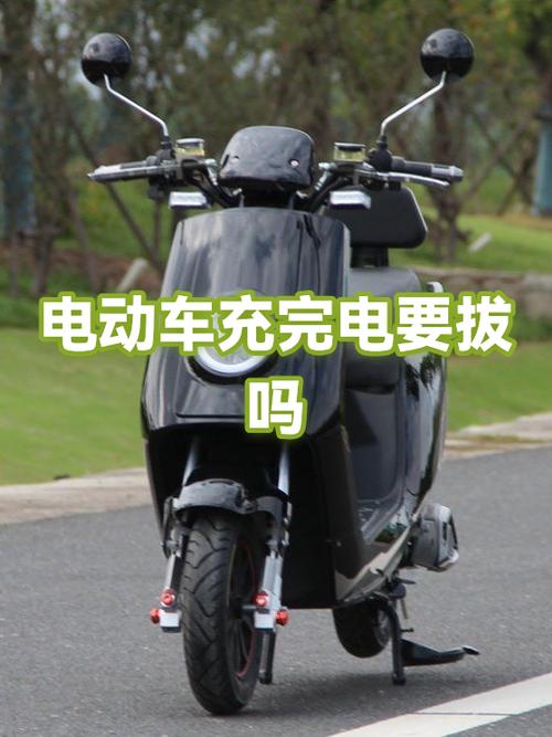 电动车充六个小时可以拔吗游戏截图