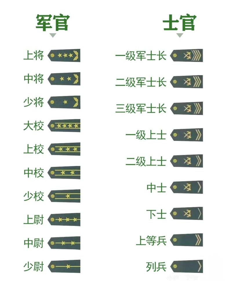 风暴战区国服军衔