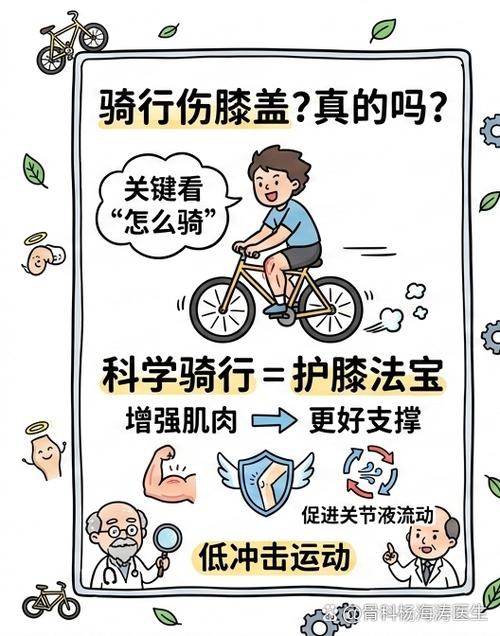 电动车需要上后支撑架吗