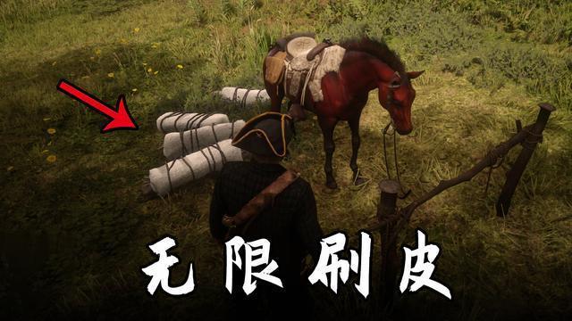 荒野大镖客2毒蜥蜴皮