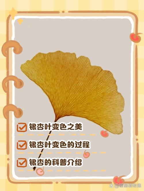 银杏叶逐渐变黄的教学设计