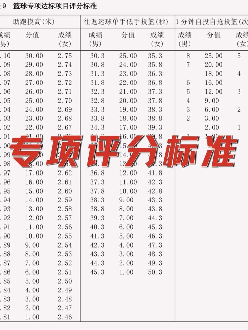 体考算分小程序