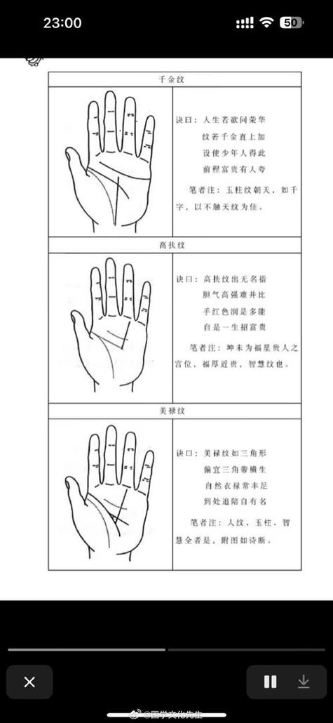 免费测手相