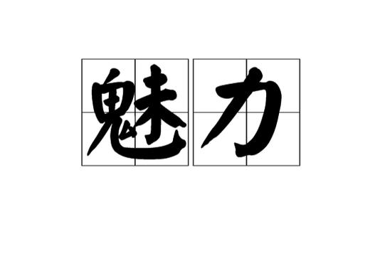 魅力的意思图标