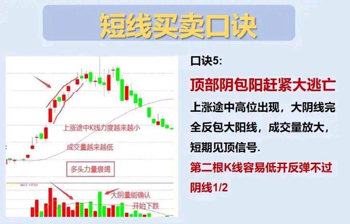 麒麟选股器tm6