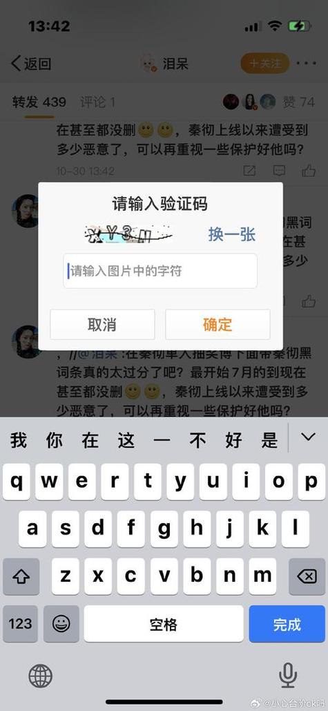 在你的ipad输入验证码