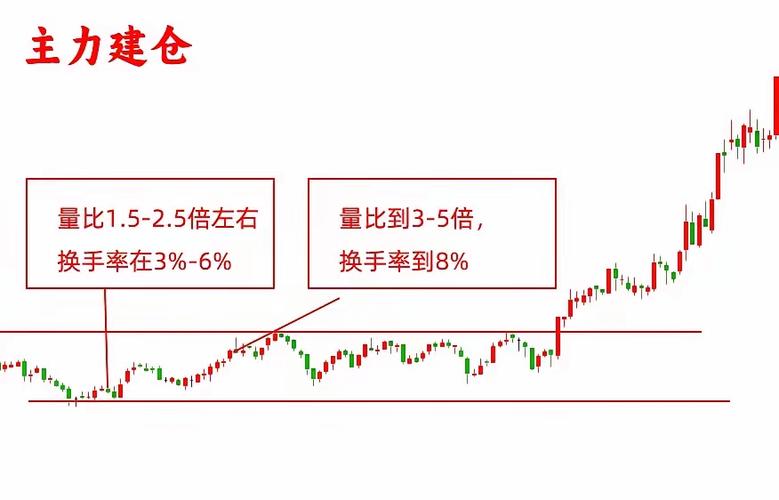 量比排名在哪里看