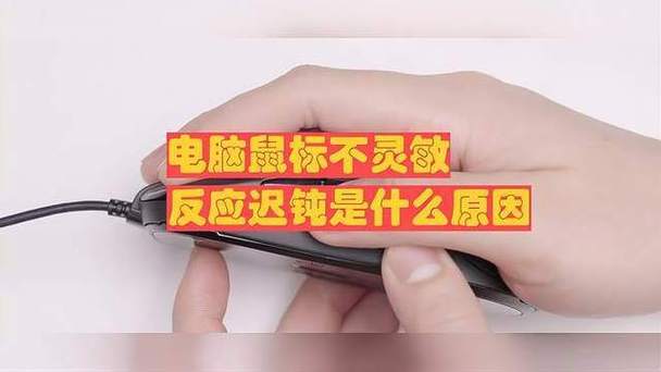 新装系统鼠标反应迟钝