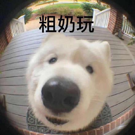 粗奶玩什么意思