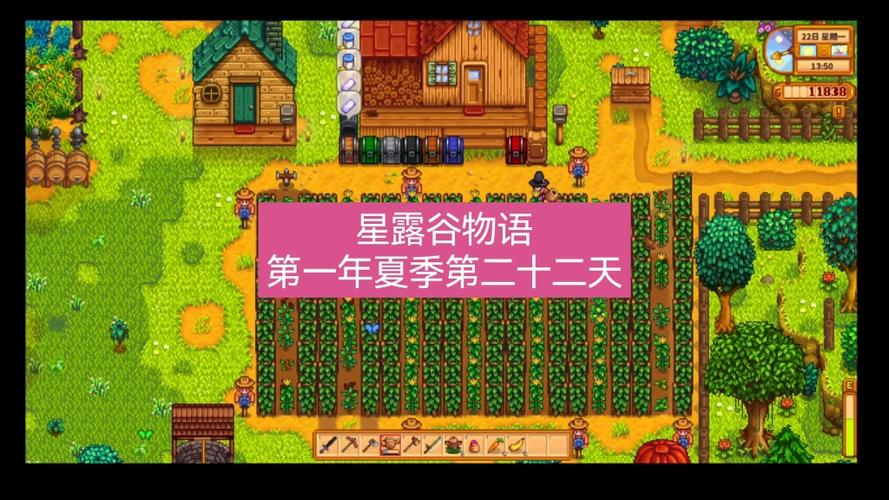 星露谷物语第一年夏季