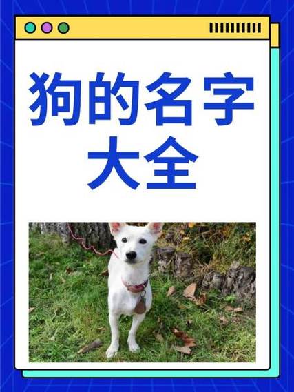 qq名字后面带喵缩略图