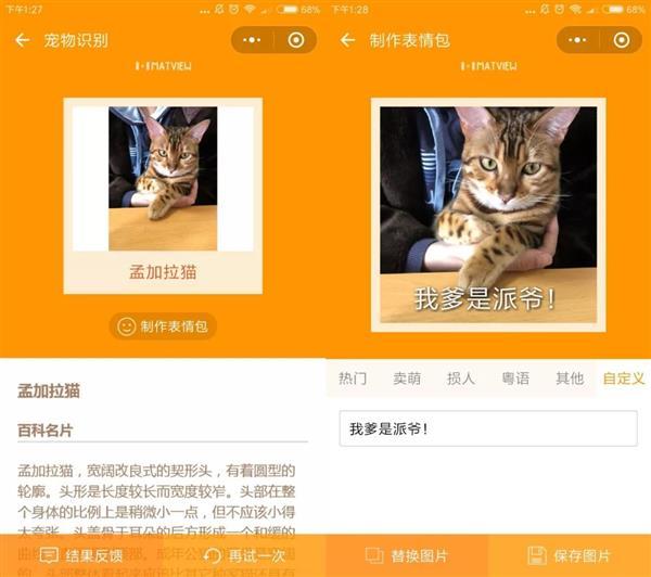 吸猫菌小程序
