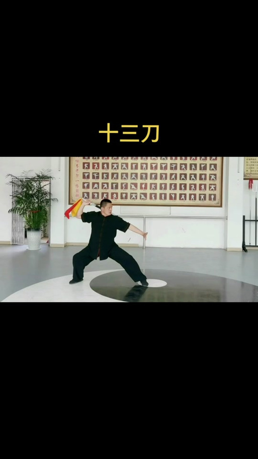 陈氏太极十三刀式教学