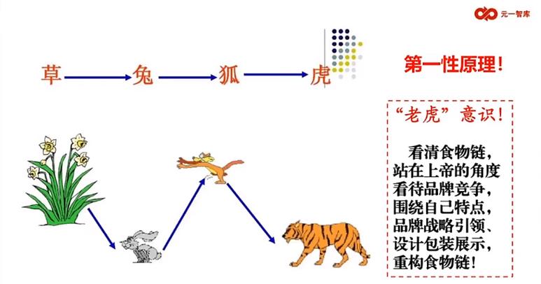 清炒兔子老虎食物链正确吗
