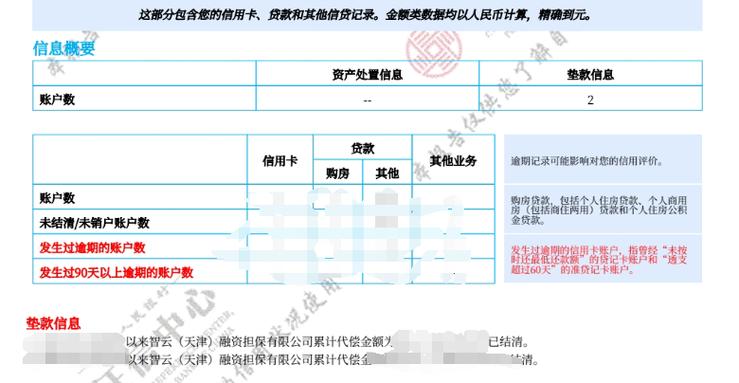 征信上有深圳乐信担保资格审查