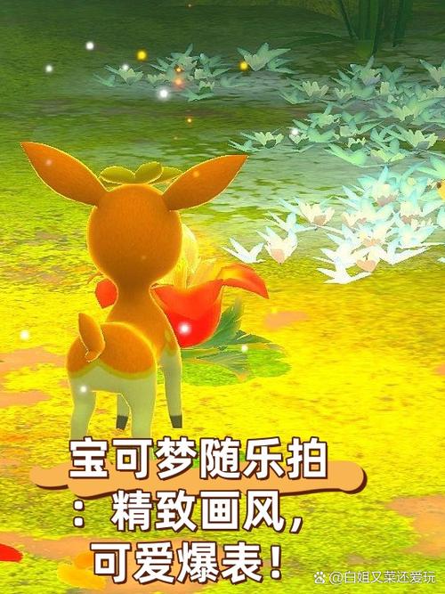 宝可梦随乐拍主线攻略