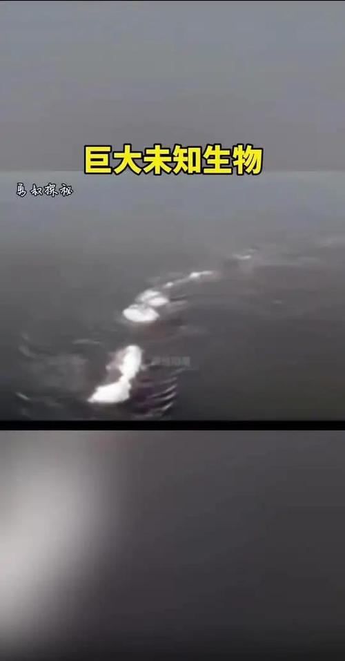 巨型不明生物图片