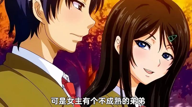《御手洗家的兄妹》动漫在线观看免费