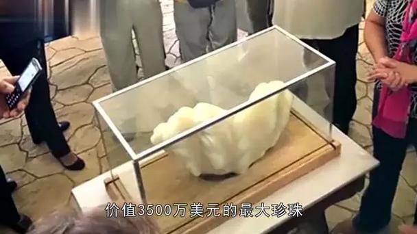全世界最大珍珠在哪里