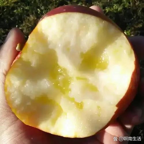 苹果发货地最怕三个地方