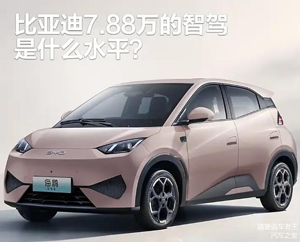 海鸥4.98万降价原因