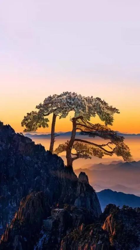 身居草莽心系天下