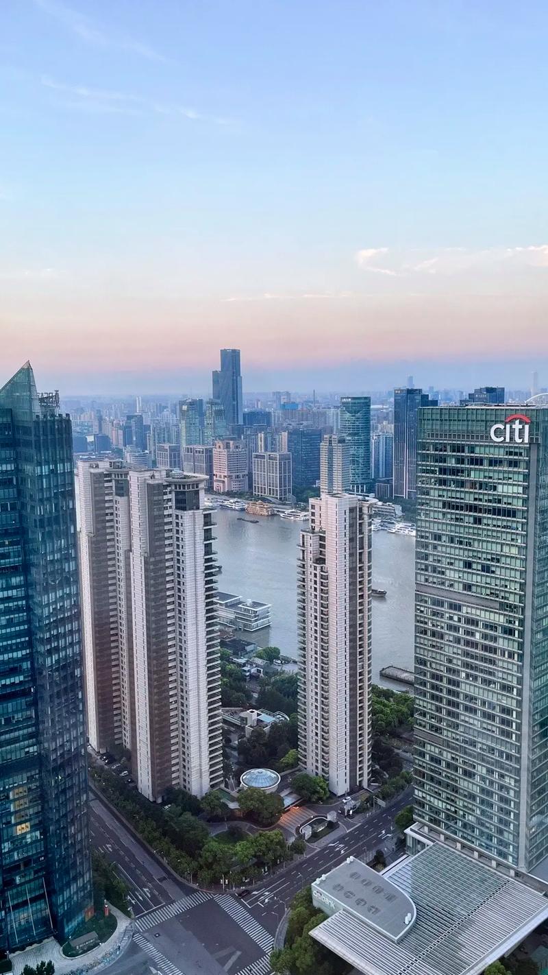 毁灭都市炽天使