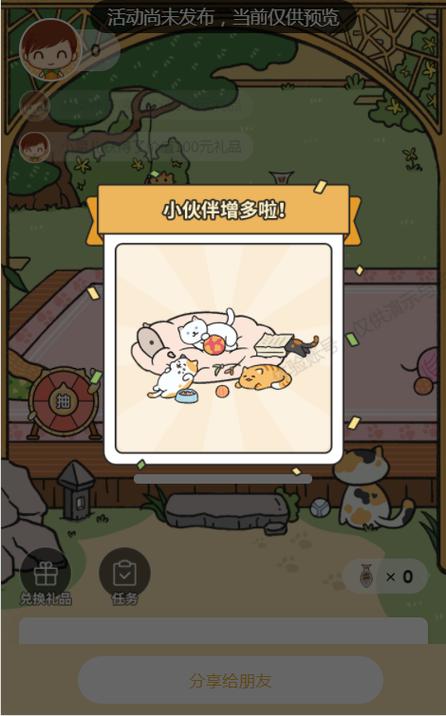 全民养猫