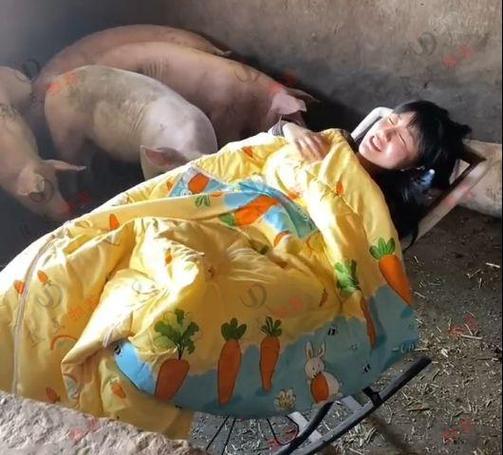 把美女抬桌子上当猪杀了