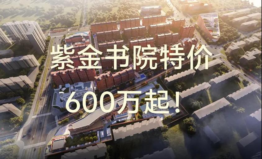 紫金书院降价原因