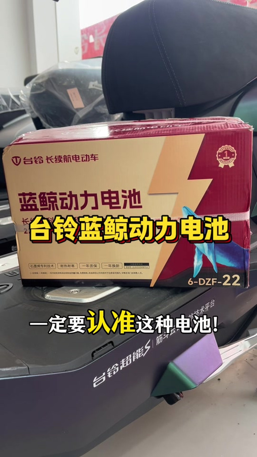 台铃48伏22安电池