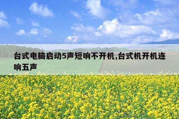 开机滴滴响5声截图