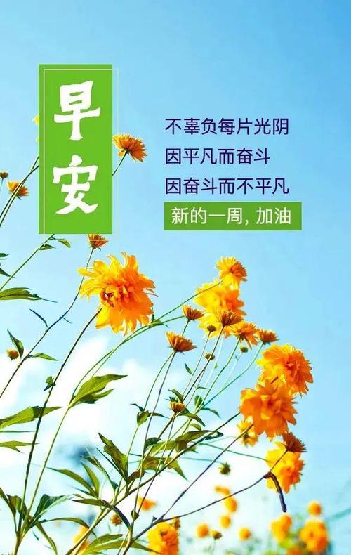正能量短截图