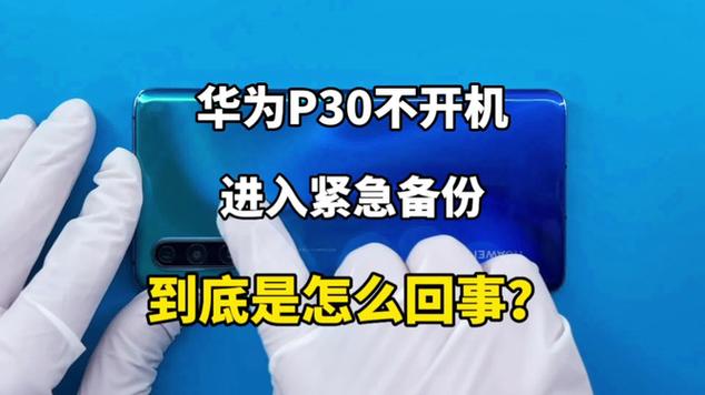 华为p30进入紧急备份模式图标