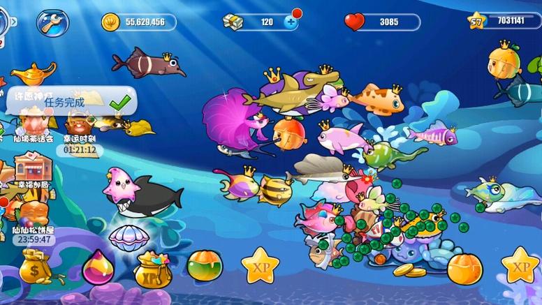 开心水族箱官方版