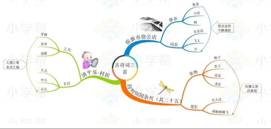四年级的思维导图怎么画