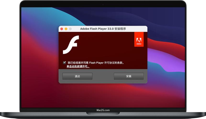 安装FLASH