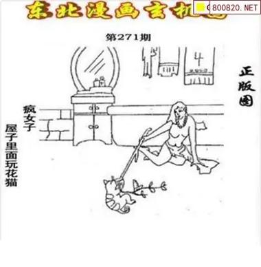 3d图谜汇总九