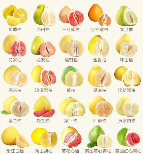 柚子最好三个品种